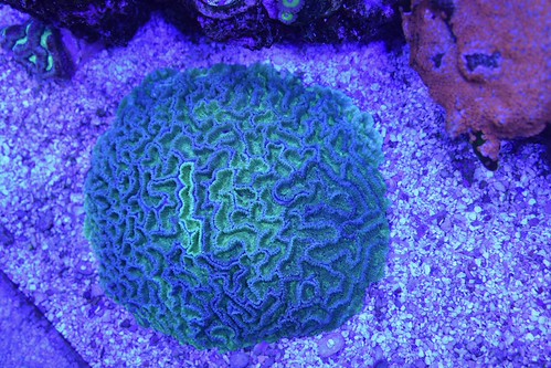 41473066375_e0c47bc89b.jpg