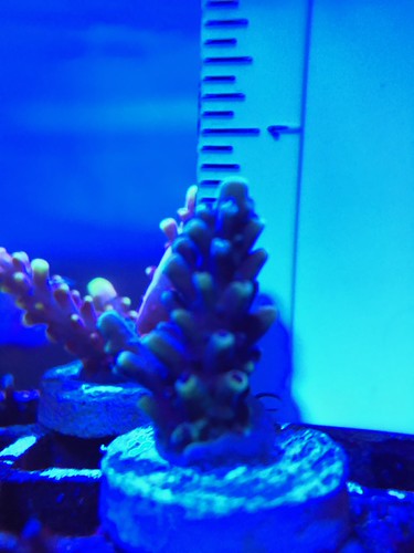43470256314_97b356d723.jpg