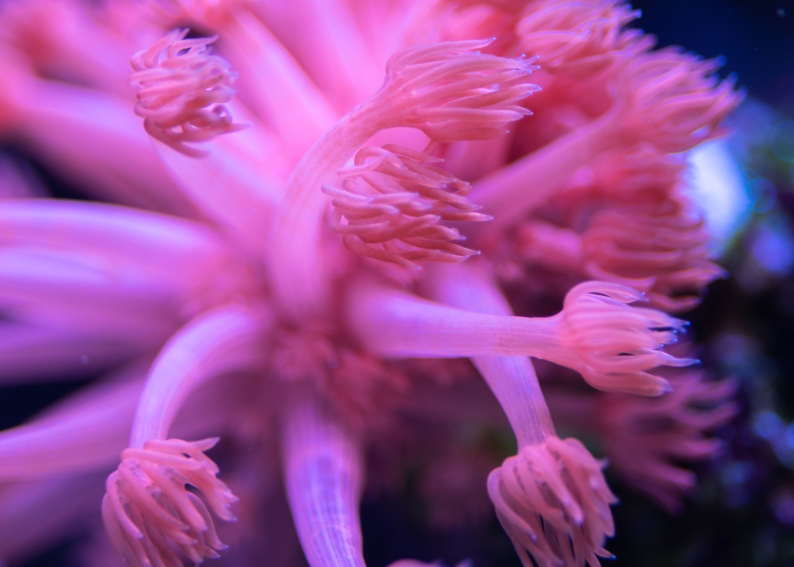 50192454698_1f11f8d381_h.jpg