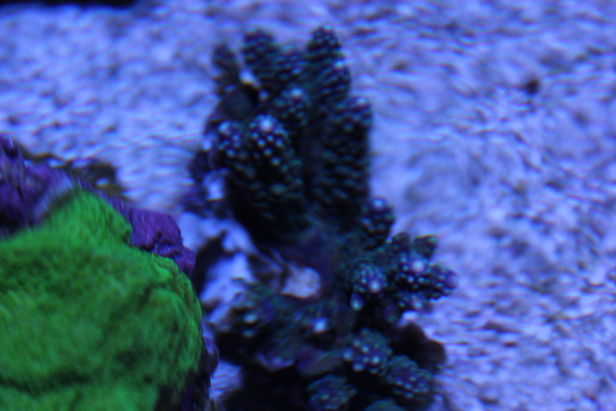 30291260574_3738320536_k.jpg