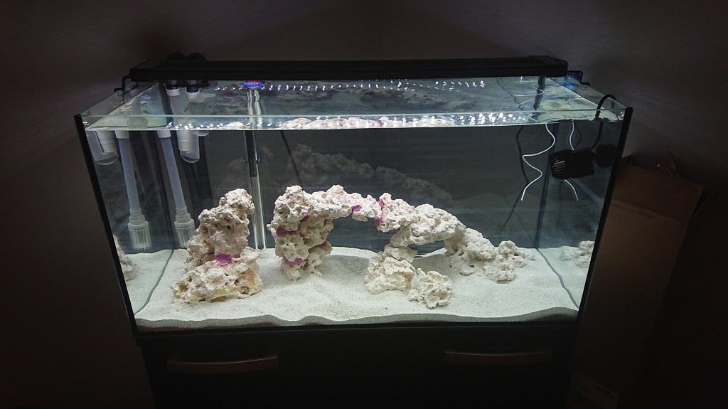 tank5.JPG