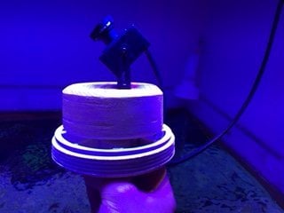 296539-1d97264b33f301543c4950d1978ba247.jpg