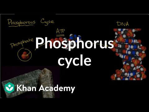 www.khanacademy.org
