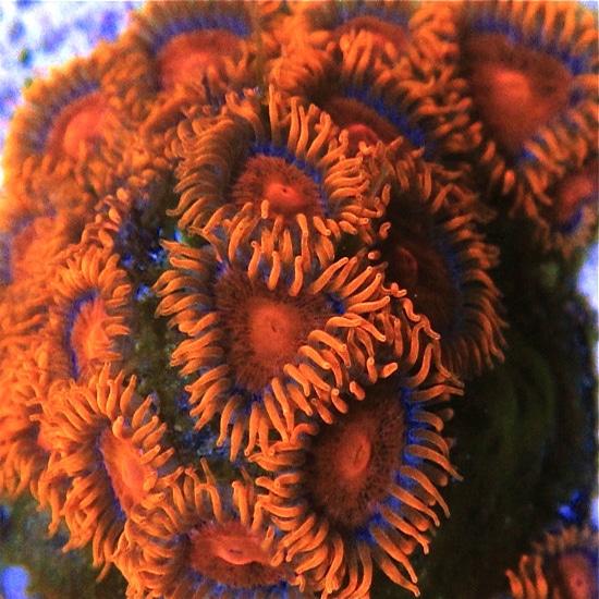 Untitled-1.jpg
