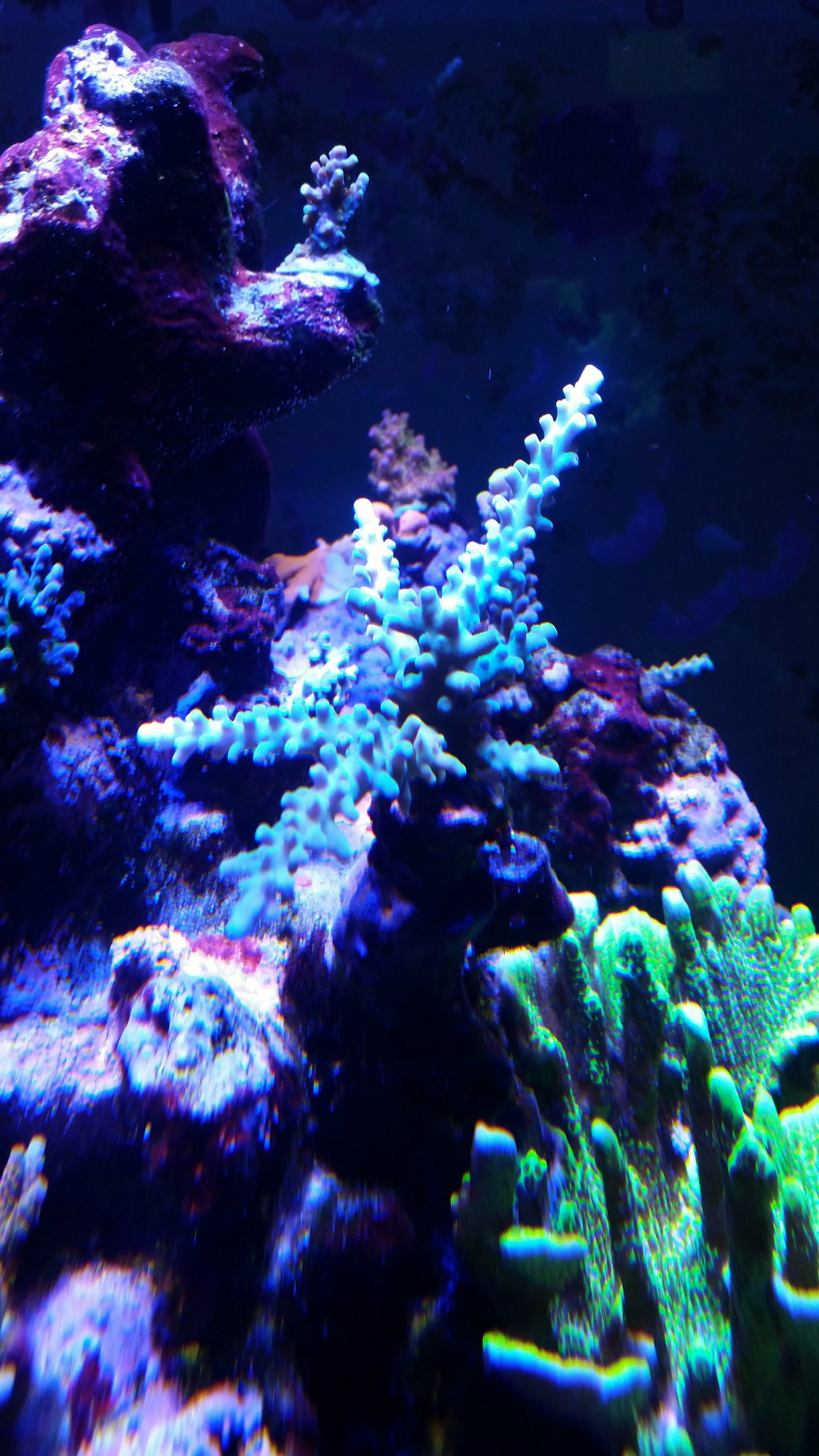 27734321387_389e0f860d_k.jpg