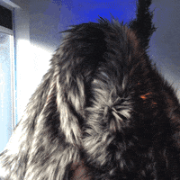 peekaboo paul scheer GIF by GIPHY CAM