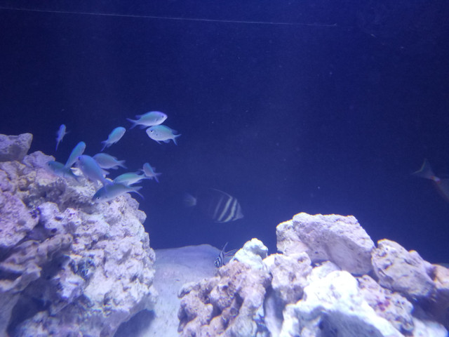 20180610_184216.jpg