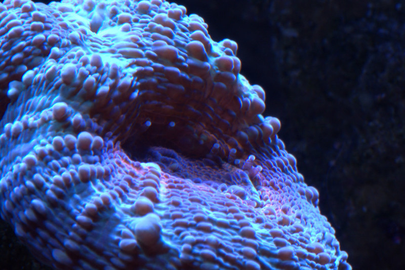 38042378646_e2204808f3_c.jpg