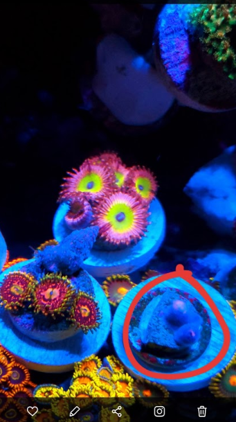 c2179ecc28f49d3b6b175147a2f84609.png