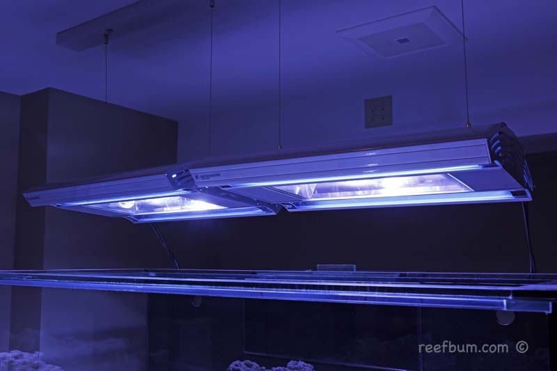 Light-Fixture-pic30.jpg