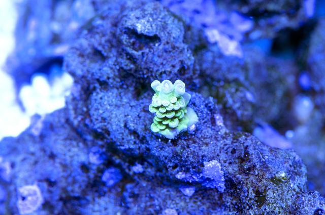 DSC_0651.jpg