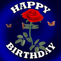 Wishing You A Happy Birthday GIF