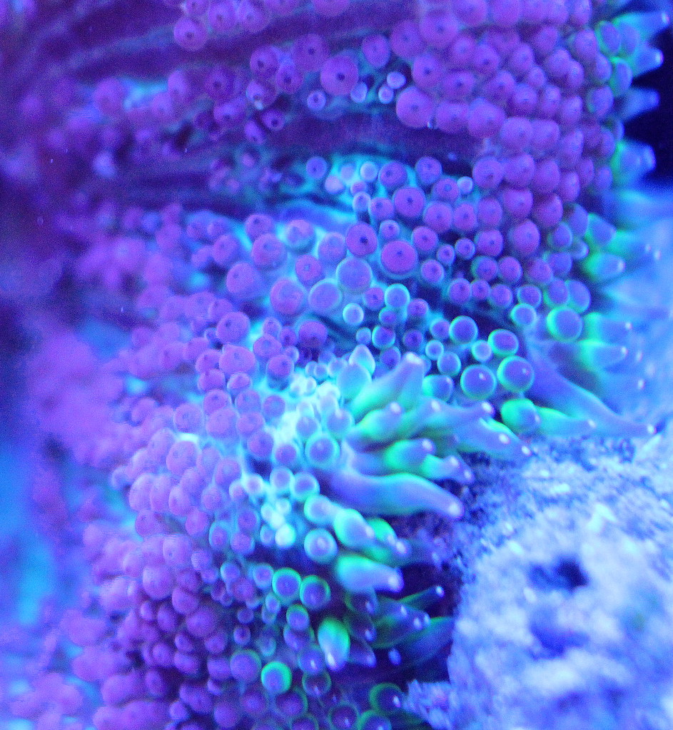 29111166761_715ff059b5_b.jpg
