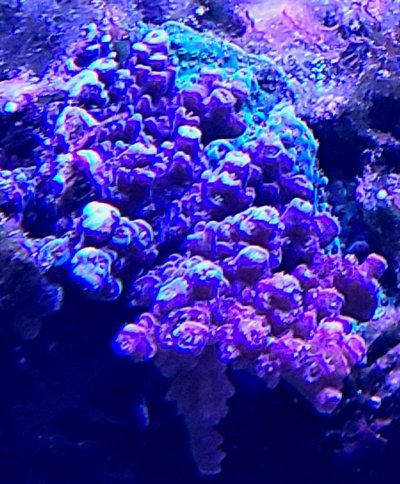 20220717_144617.jpg 20220717_144617.jpg