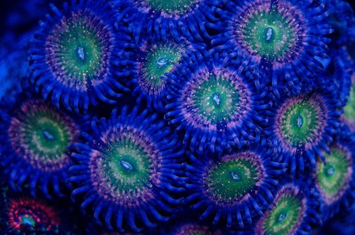 8099740567_21d5f06f6c.jpg