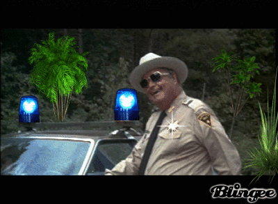 3db4.gif
