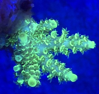 38852190165_c565b74463_n.jpg