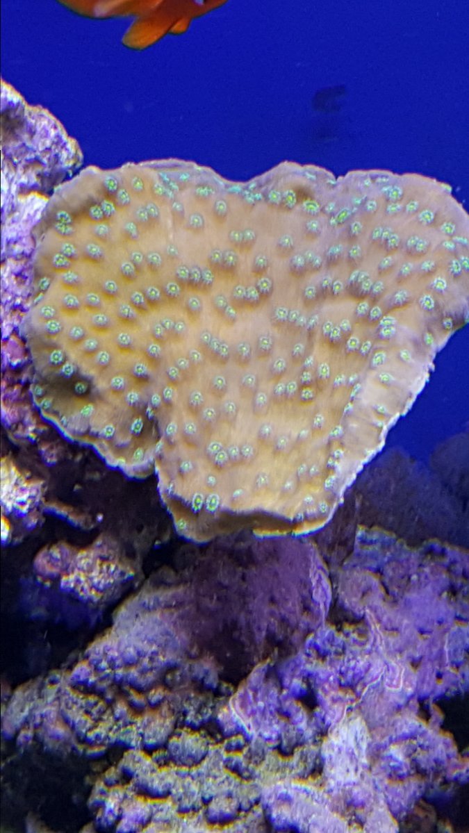 20170316_104211-jpg.499919