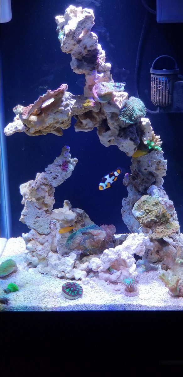 fts-jpg.830652