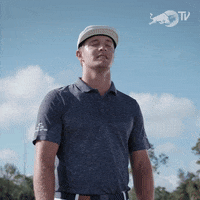 golf yes GIF by Red Bull