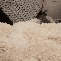 Pup Flirting GIF by MOODMAN