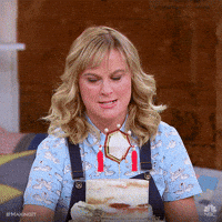 amy poehler birthday GIF by Making It