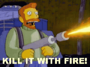 Kill It With Fire Kill GIF - Kill It With Fire Kill Fire GIFs