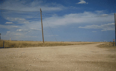 giphy.gif