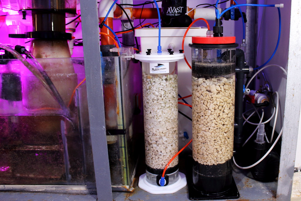 44839495951_1a8eb08fa5_b.jpg
