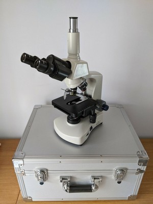 www.ebay.co.uk