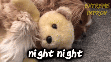 Sleepy Teddy Bear GIF by Extreme Improv