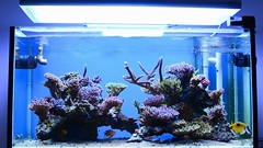 49923621196_ff50b91fc7_m.jpg