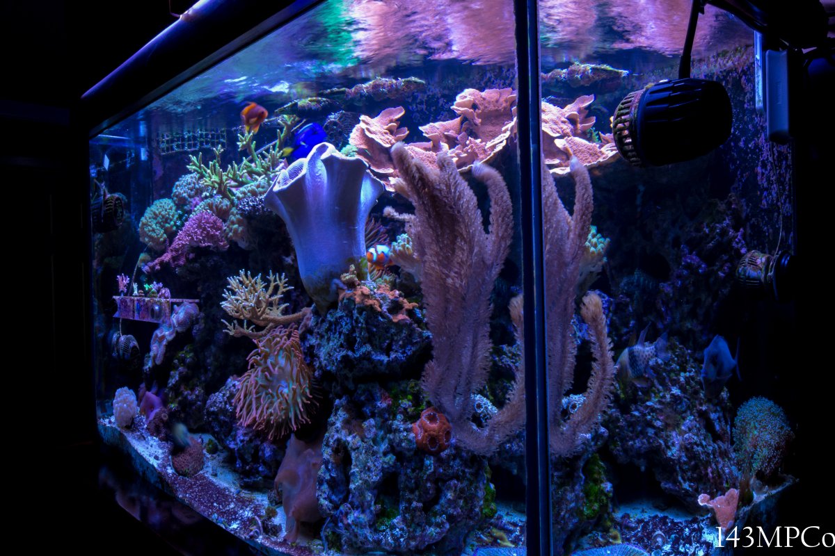 150g-3-jpg.273164