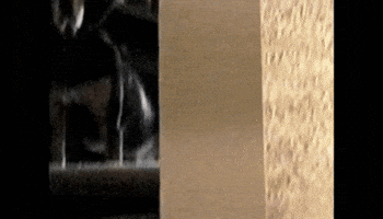 dog drool GIF