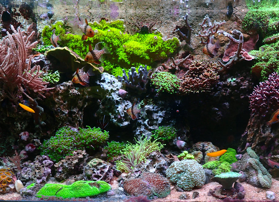 colour-2-jpg.559419