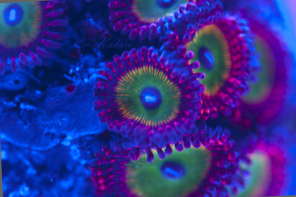 10050700653_03d4e25e53_b.jpg