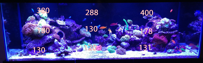 65eco_small.jpg