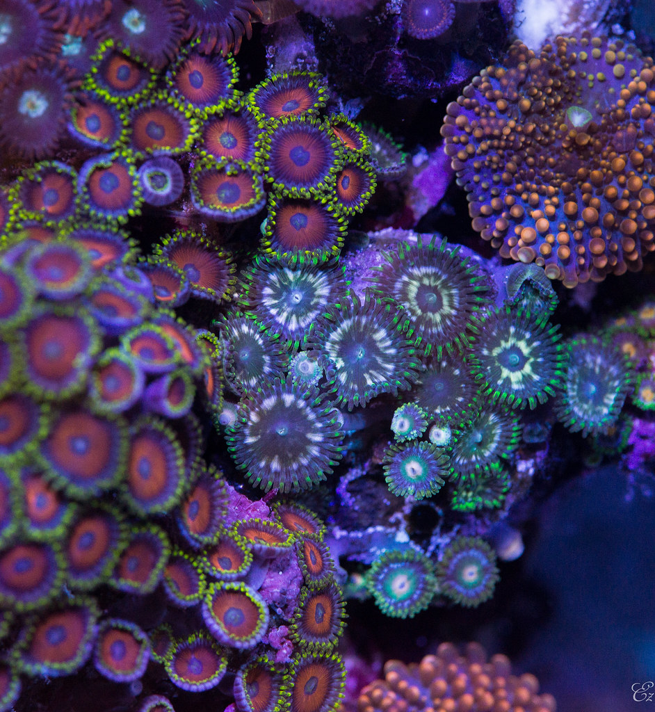 14486941984_f3c3fd537b_b.jpg