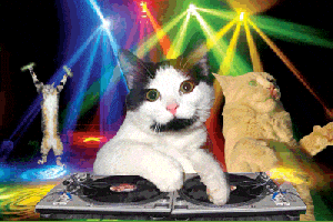 Party Dancing GIF