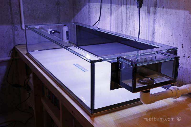 Frag-Tank-pic1.jpg