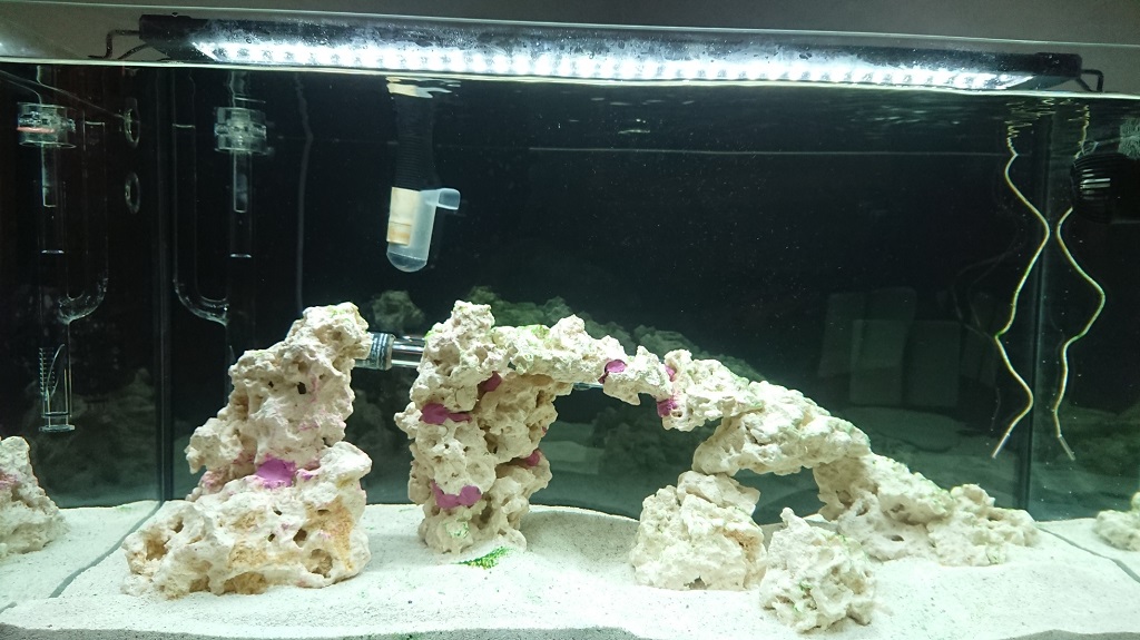 tank14.JPG