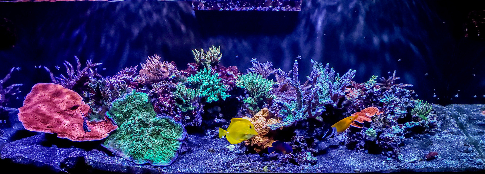 48998588121_0d5a707c39_h.jpg