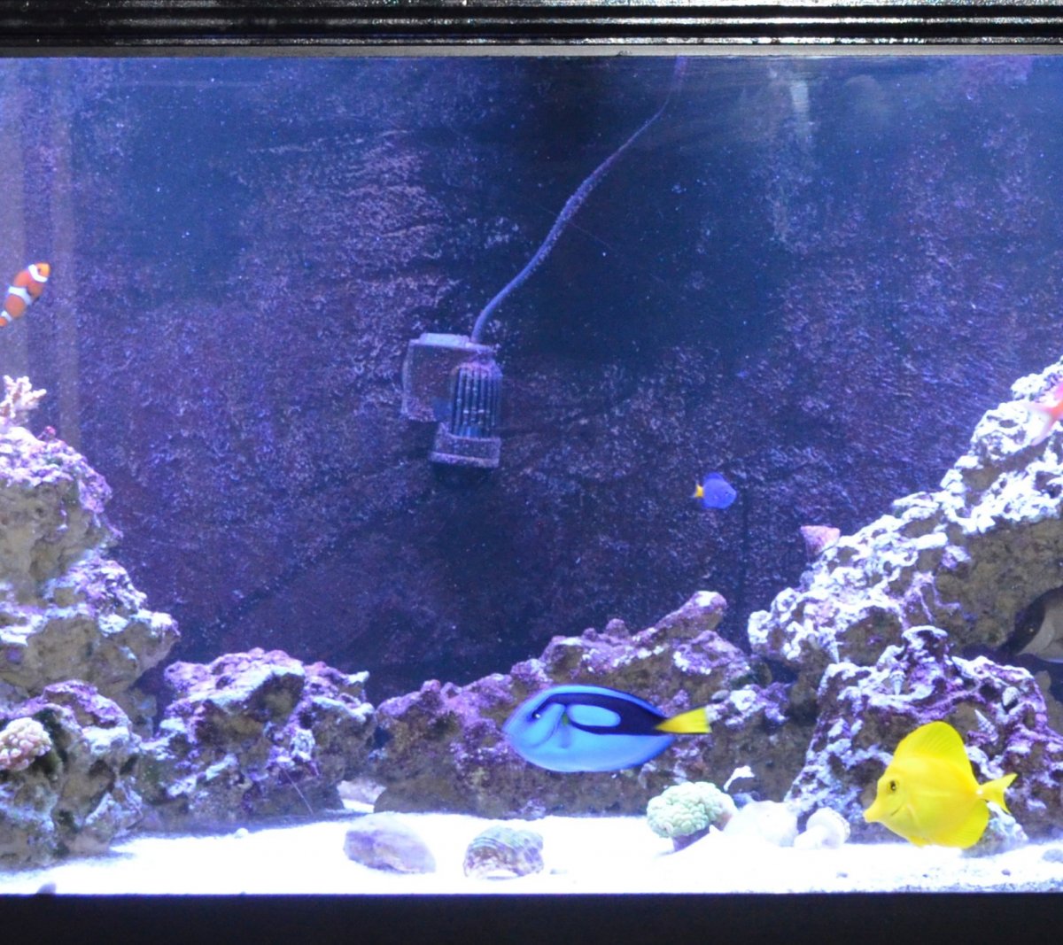 fts11-2-jpg.524802