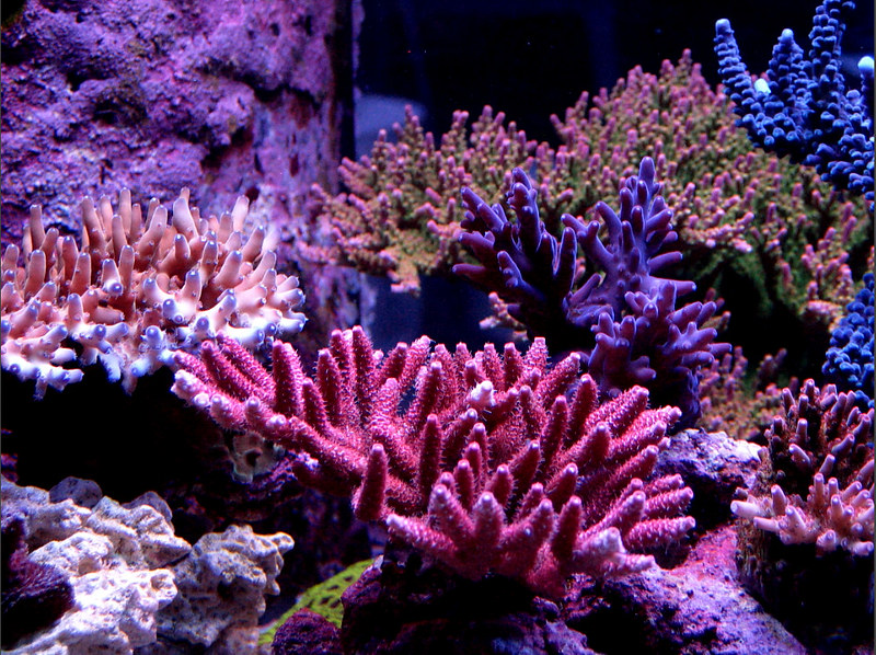 48379478406_715a027a4e_c.jpg