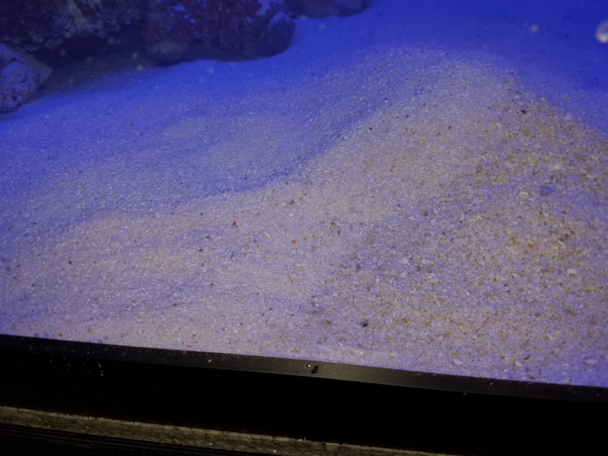 20180213_091614-jpg.675228