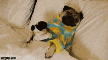 Good Night GIF