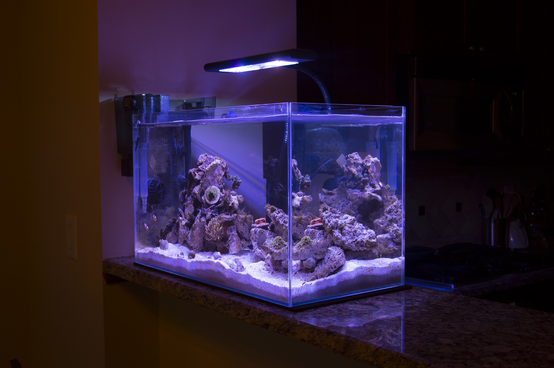 Tank2.JPG