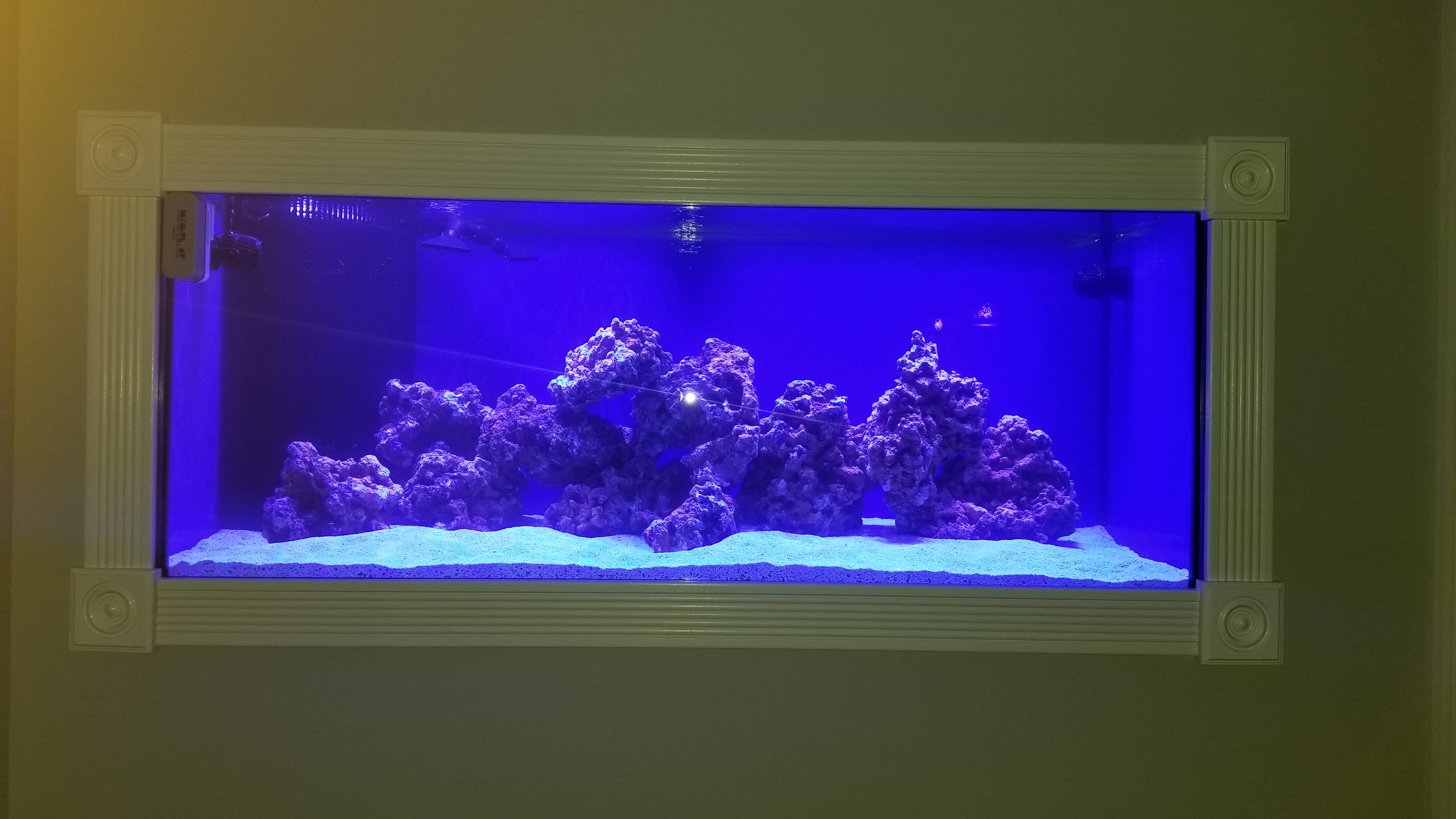 FTS-1.jpg