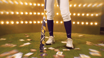 College Sports Sport GIF by LSU Tigers
