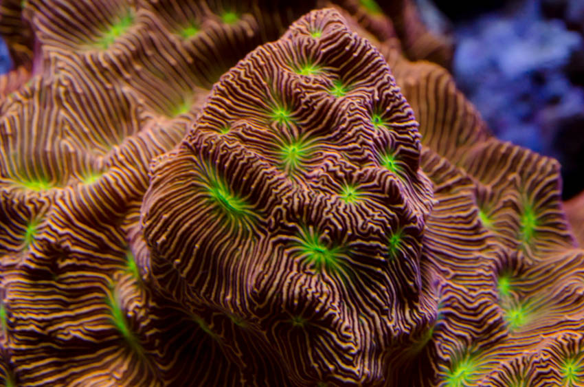 14631649796_647e25766b_o.jpg